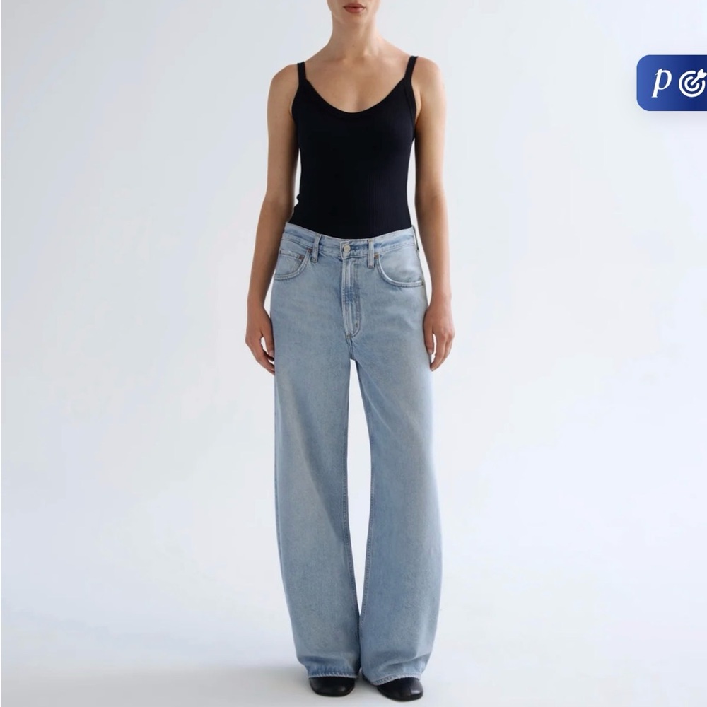 Agolde Low Curve Jean in memory